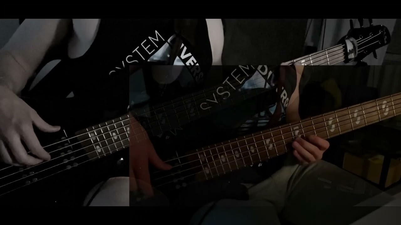 Mr Kitty - After Dark | Bass cover