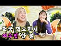 👩🏻‍🍳#요똥 이어도 괜찮아, 색감이 다한 #떡국 만들어 먹기(ft. 우리들의 여우짓에 대하여🦊)