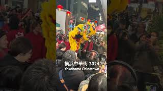 Yokohama Chinatown New Year 2024