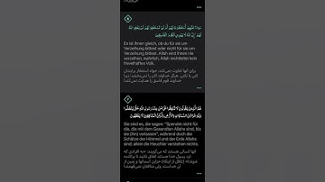 Quran Juz 28 Sure Munāfiqūn سورة المنافقون Teil 5