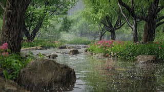 Whispers of Rain: A Serene Stream in the Forest by Rainfall Serenity 281 views 2 weeks ago 10 hours