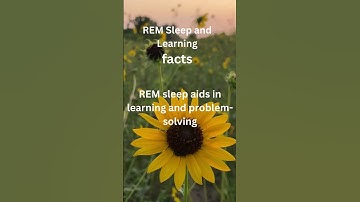 The Learning Enigma: Unraveling the Role of REM Sleep in Memory