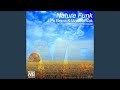 Nature Funk Alex Roque Remix mp3