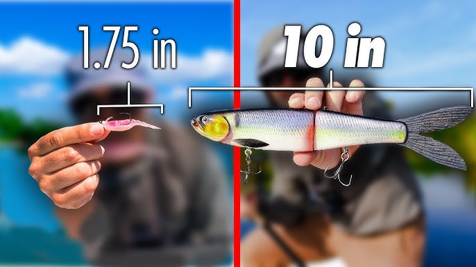 The Only Three Lures You Need (Florida Saltwater Shore Fishing) 