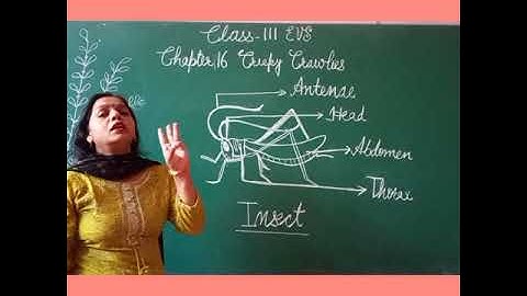 Class 3 EVS Chapter 16 Part 1