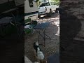 Camping late September 2022