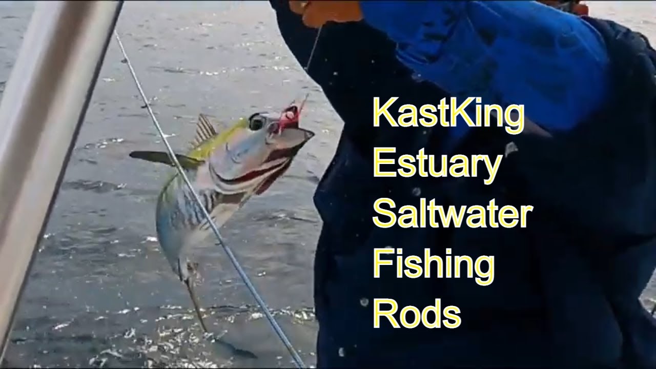 ▻▻▻ KastKing Saltwater Fishing Gear Review Ft Gus OneBear 