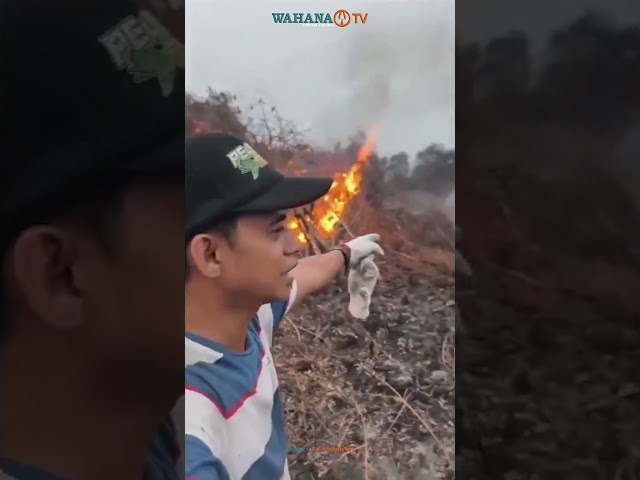 VIRAL : DIDUGA ANGGOTA DPRD KABUPATEN MEMPAWAH SENGAJA BAKAR LAHAN AGAR BISA DITANAMI SAWIT