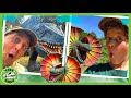 Park Ranger Aaron Vs. Park Ranger LB Dinosaur Hide and Seek! | T-Rex Ranch Dinosaur Videos for Kids