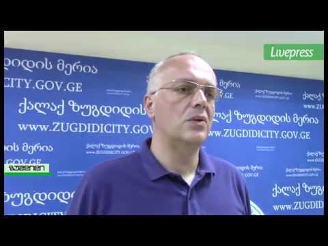 ლაღიძის და ბარამიას ქუჩებზე საბავშვო ბაღების მშენებლობისთვის ზუგდიდის მერიამ მიწა გამოყო