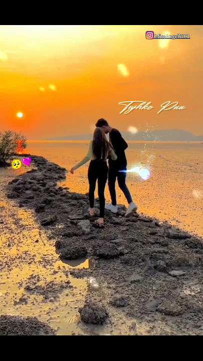 Dil Laga Liya❣️✨( Susmita Lovely)  | New Female Status💞 Song🎵