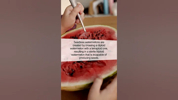 The Bewildering World of Seedless Watermelons
