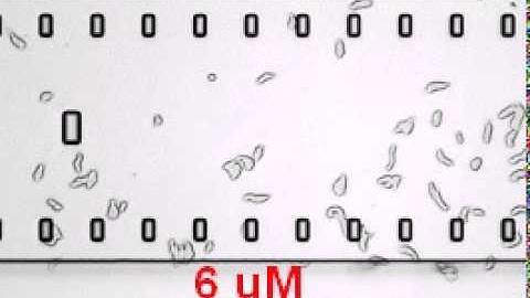 taxiscan ax3 070808 reduced36mum