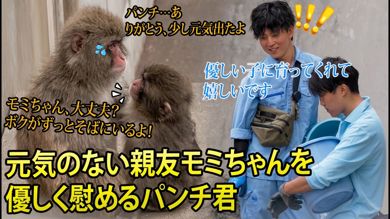パンチくん🐵】【感動】元気のない親友モミちゃんを優しく慰めるパンチ