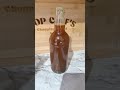 kombucha test N.O 1 #food #foodie #youtubeshorts #shorts