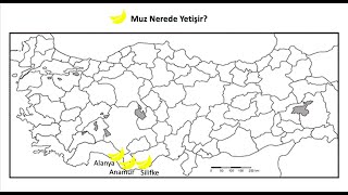 🍌Muz Türkiye'de Nerede Yetişir? | Ne Nerede Yetişir #1