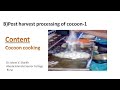 Post harvest processing of cocoons - Cocoon Cooking