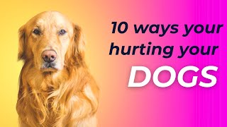 10 Ways You Are Hurting Your Dog Without Realizing by PetMastery 111 views 4 months ago 7 minutes, 27 seconds