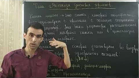 Физиология гормонов. Механизм действия гормонов ( физиологический и биохимический)