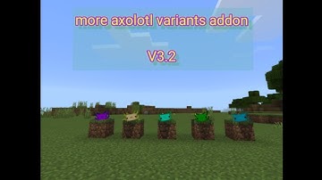 new fish type and 5 new axolotl variants - | more axolotl variants addon | in minecraft