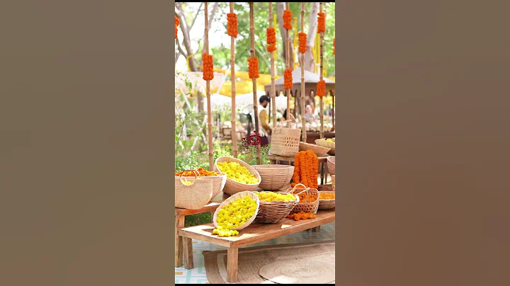 𝙑𝙞𝙨𝙝𝙖𝙡 & 𝙋𝙧𝙚𝙭𝙖'𝙨 𝙒𝙚𝙙𝙙𝙞𝙣𝙜 | 𝙃𝙖𝙡𝙙𝙞 𝘿𝙚𝙘𝙤𝙧 | 𝙏𝙧𝙞𝙙𝙚𝙣𝙩 | 𝙐𝙙𝙖𝙞𝙥𝙪𝙧🔥💖 #wedding #destinationwedding #shorts