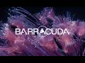 Smarter Marketing in 10: Barracuda Walk Through