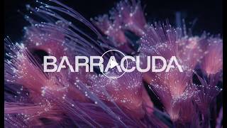 Smarter Marketing in 10: Barracuda Walk Through