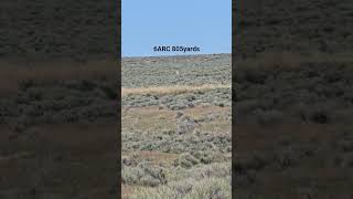 6ARC 805 Yards @BallisticAdvantage  @VortexNation @MattStealthAdditive