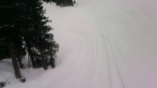 We Rode Snowmobiles for Spring Break