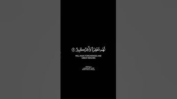 #قران_كريم #ماهر_المعيقلي #شاشه_سوداء #سورة_الملك