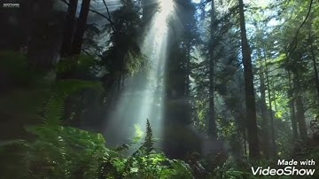وَمَا خَلَقْنَا السَّمَاءَ وَالْأَرْضَ وَمَا بَيْنَهُمَا بَاطِلًا ۚ(القارئ اسلام صبحي)