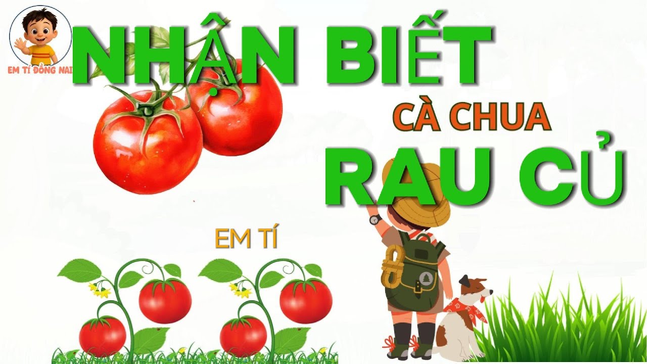 Bé Nhận Biết Rau Củ 🥦 | Học Tên Rau Củ Cho Trẻ Em - YouTube