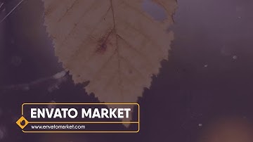 30 Simple Titles After Effects Template