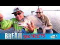 BREAM FISHING SECRETS with 3 time AFC Champion Darren 'Dizzy' Borg