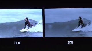 有村架純、深海に行くなら「友達と」最新撮影技術のサーフィン映像も公開「連続ドラマW　海に降る」完成披露試写会3　#Kasumi Arimura　#Umi ni furu