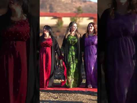 اكسبلور المراه ارقص Musicanddance Wedding Musicdance رقص Dancesong اعتني ترند Shosho