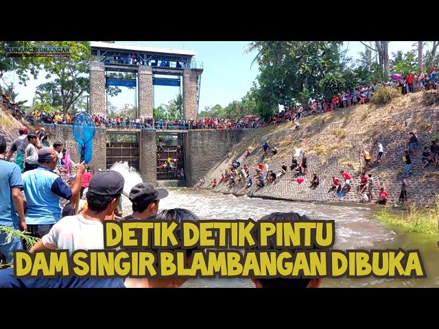 detik-detik pintu air bendungan Dam singir blambangan dibuka❗️antusias warga mencari ikan tinggi class=