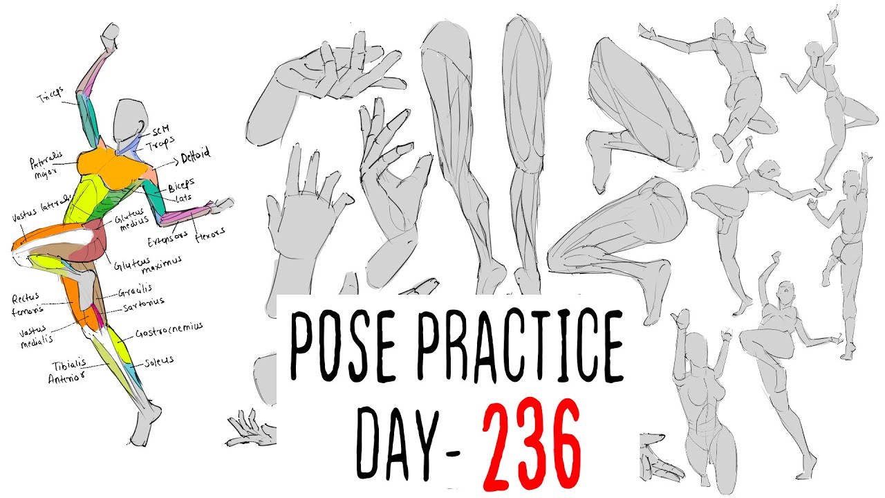 Daily Drawing Practice Part 236 - YouTube