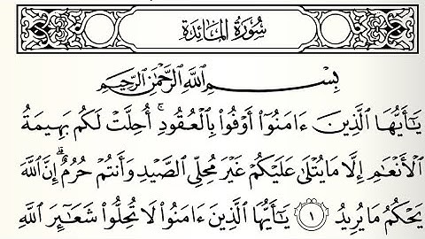 سورة المائدة ايمن سويد كاملة مكتوبة HD ✍️