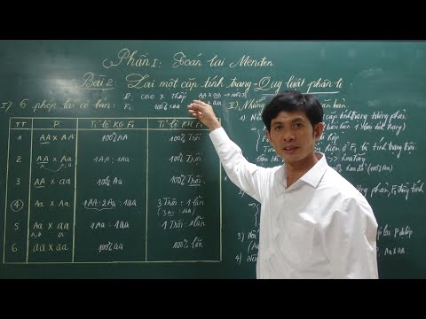 Video Sinh học lớp 9 Bài 2: Lai một cặp tính trạng _ Thầy... - YouTube