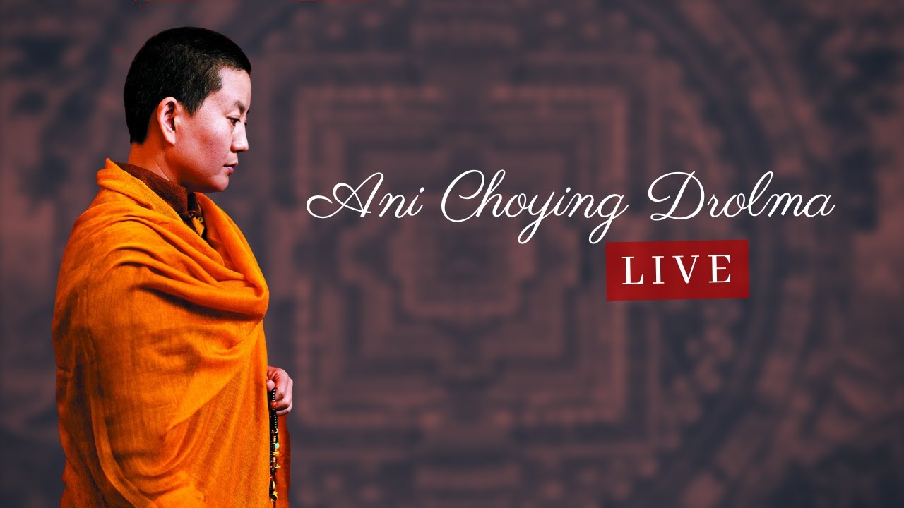 Orqa tomondan gozal tola qin korinishi Orqa tomondan gozal tola qin korinishi