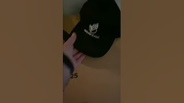 Moog Subsequent 25 Synthesizer | MojoHeadz Records