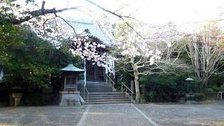 Japanese Temple in Spring