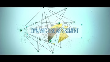 Dynamic Risk Assessment