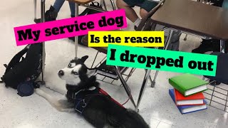 My Service Dog Forced Me to Drop Out of School.. Storytime