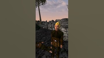 Killing the adoring fan in Morrowind every day until Skywind and Skyblivion are released Day - 328