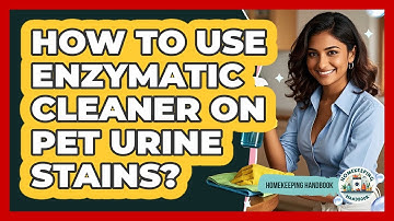 How To Use Enzymatic Cleaner On Pet Urine Stains?