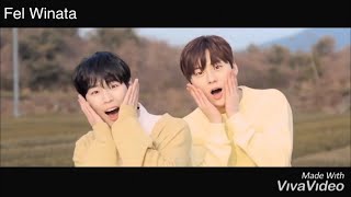 Pine Tree (소나무) - Wanna One (워너원) FMV [ Memories of Wanna One, Thank you Wanna One ]