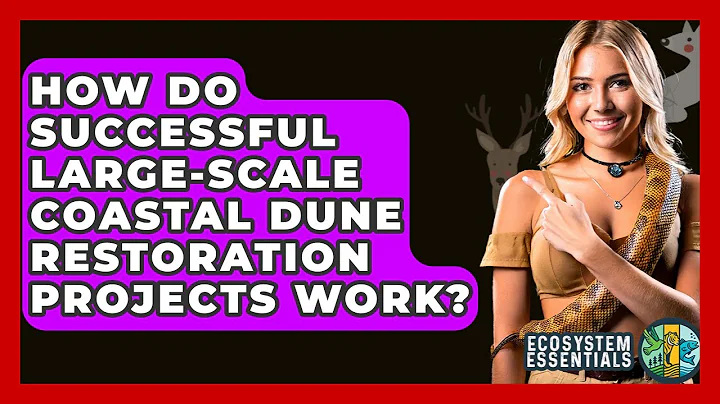 How Do Successful Large-scale Coastal Dune Restoration Projects Work? - Ecosystem Essentials