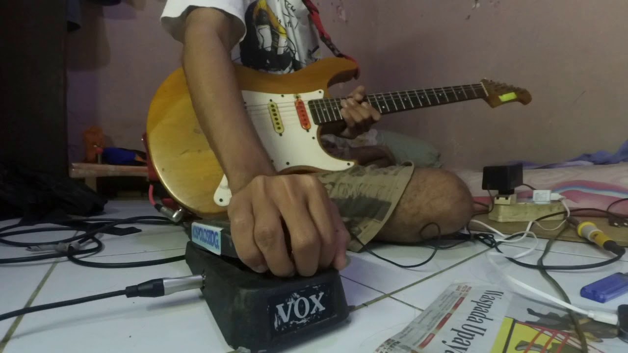 David Gilmour Seagull Effect Wah Pedal (Pink Floyd Echoes) YouTube